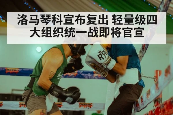 洛马琴科宣布复出 轻量级四大组织统一战即将官宣 - j9 game